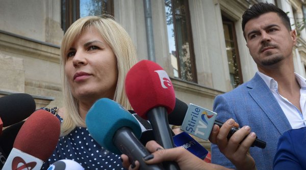 Elena Udrea: Cer încetarea procesului în dosarul Hidroelectrica