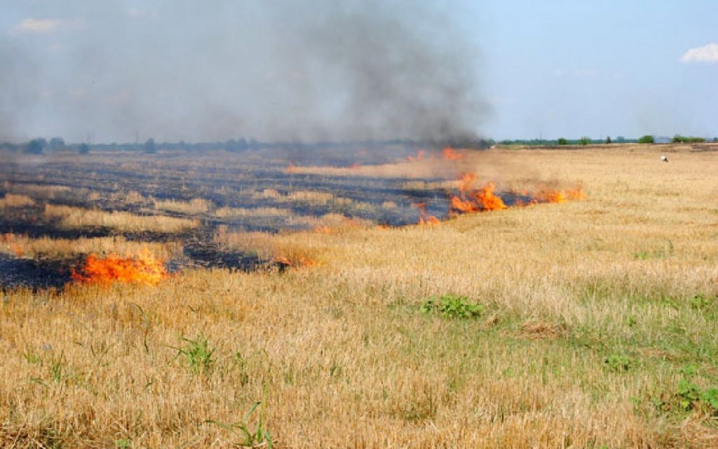 APIA informează cu privire la interzicerea arderii resturilor vegetale