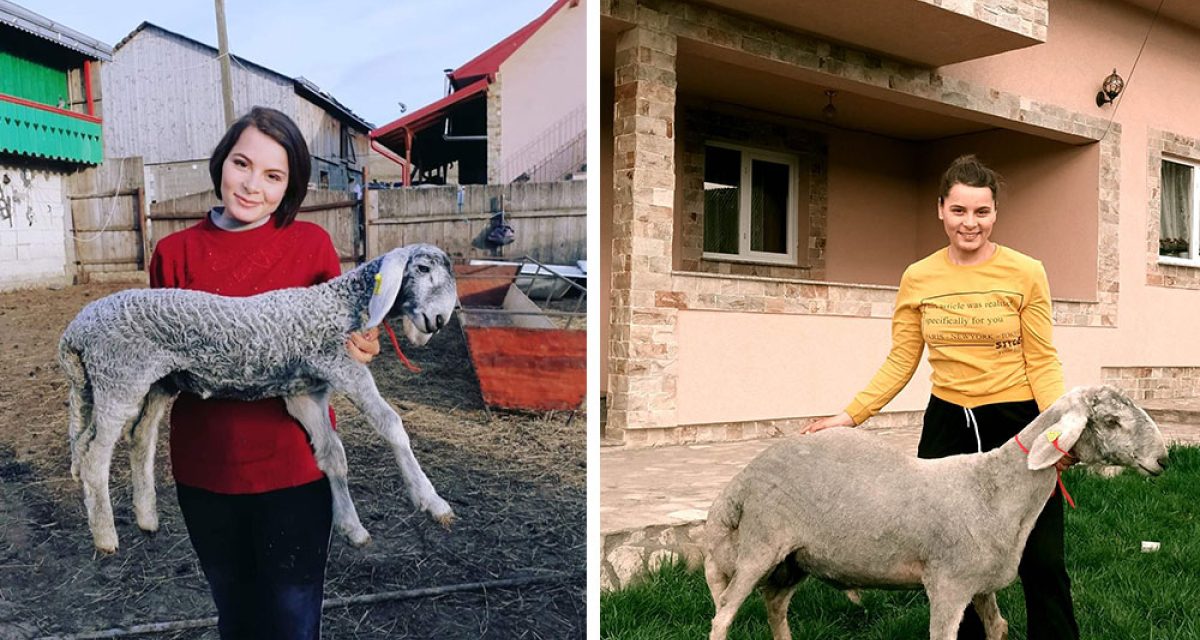La 20 de ani, o botoșăneancă perpetuează ferma părinților. Păstorește sute de oi și se mândrește cu munca ei