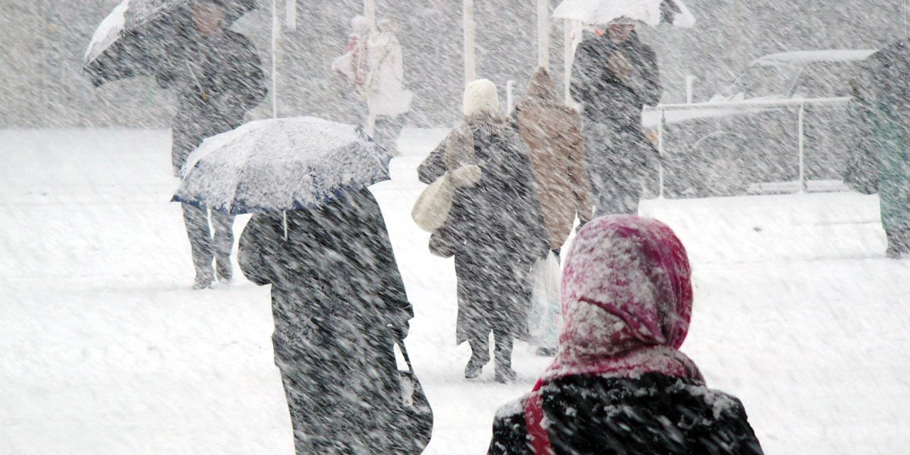 Cod galben de vreme rea în județul Botoșani. Sunt prognozate ninsori și rafale de vânt