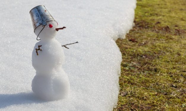 Prognoza meteo până la jumătatea lunii februarie. Se anunță temperaturi mai mari decât cele obișnuite