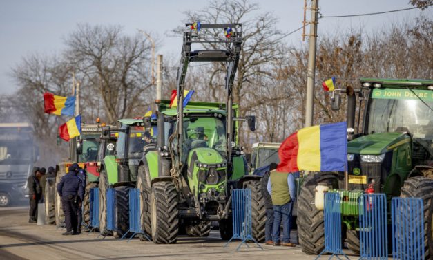 Guvernul a aprobat noi ajutoare pentru fermieri