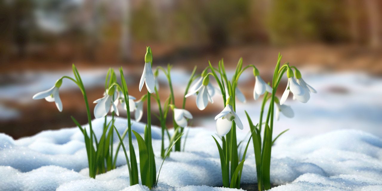 Temperaturi de primăvară de săptămâna viitoare, anunță meteorologii