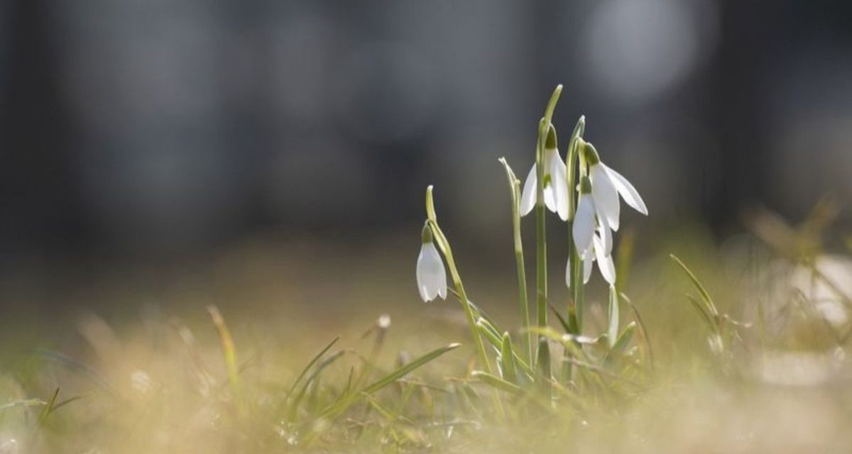 ANM: Temperaturi diurne peste mediile multianuale, în următoarele două săptămâni