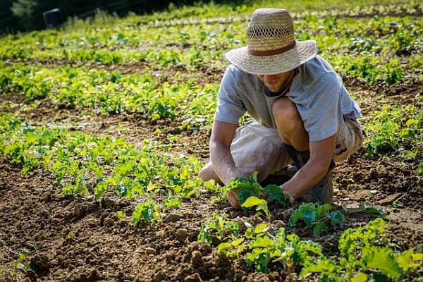 Peste 120 de locuri de muncă disponibile în străinătate prin rețeaua EURES