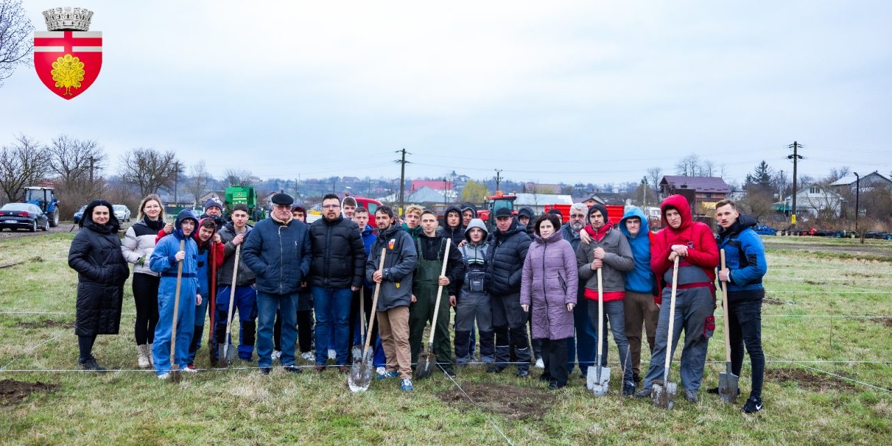 Livadă plantată de elevii Liceului „Petru Rareș” și funcționari ai Primăriei – FOTO