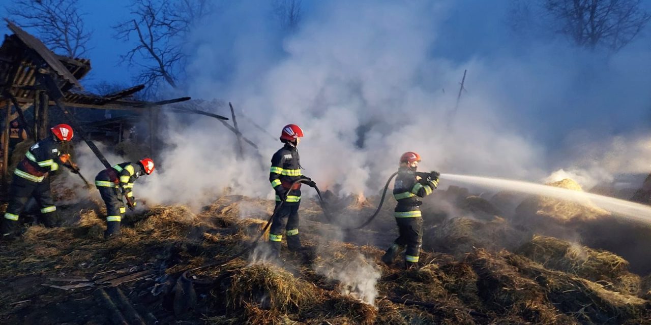 30 de tone de furaje au ars într-un incendiu în localitatea Adășeni – FOTO