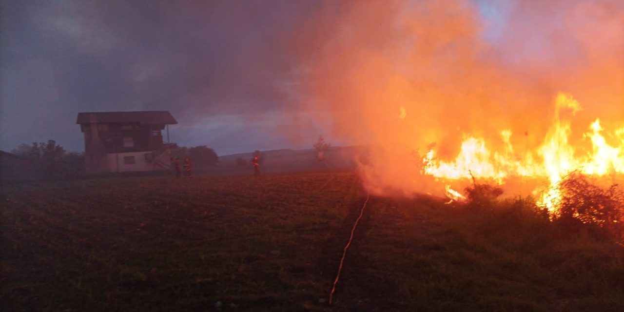 Zece hectare de miriște au ars noaptea trecută
