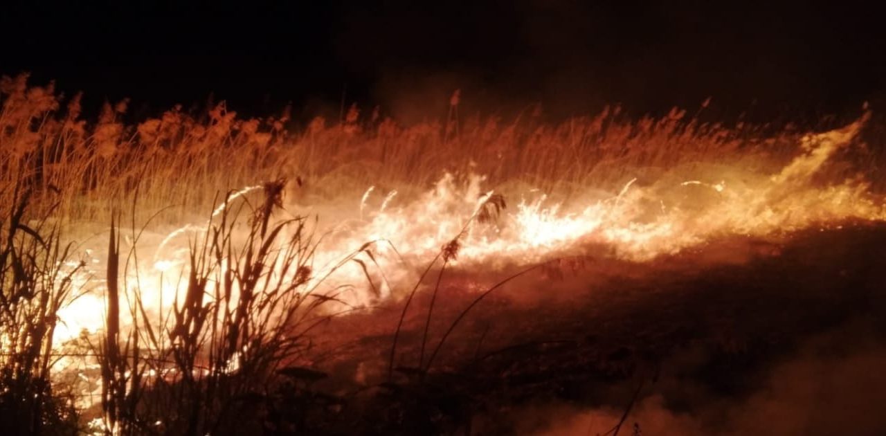 Case amenințate de flăcări pentru a treia oară într-o săptămână, din cauza unor incendii de vegetație – FOTO