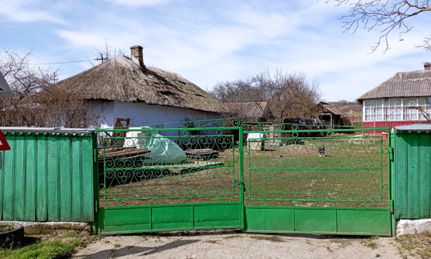 Calitățile acoperișurilor bio explicate de ultimii meșteri tradiționali. Zona din Botoșani unde localnicii își acoperă casele cu stuf și în 2024