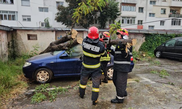 Autoturism distrus de un copac doborât de furtună – VIDEO