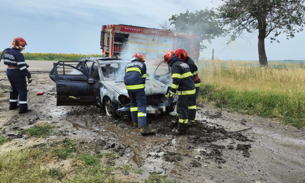 Mașină distrusă într-un incendiu, pe un drum național din Botoșani – VIDEO