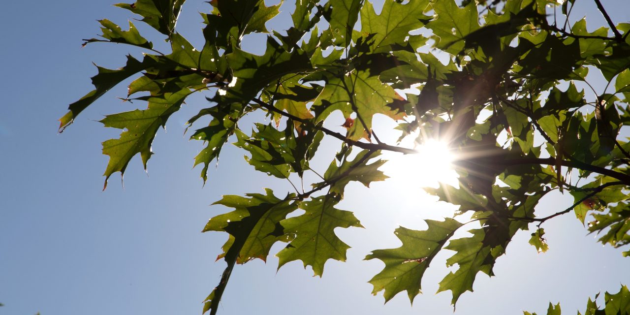 Septembrie se încheie cu vreme aproape caniculară